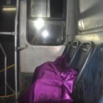 Vitória Raniely Cardoso de Lima