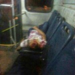 Vitória Raniely Cardoso de Lima