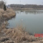 Drowned Chinese girl