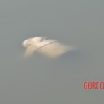 Drowned Chinese girl