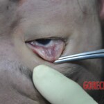 Drowned Chinese girl