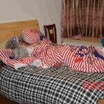 Murdered woman Shenzhen