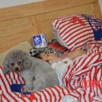 Murdered woman Shenzhen