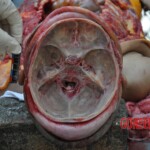 Murdered young woman with knife in pussy + autopsy