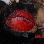 Young Chinese woman died in traffic accident