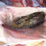 Raped naked chinese girl