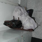 Young Chinese woman worked herself to death