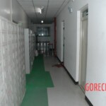 Young Chinese woman worked herself to death