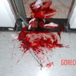 Young Chinese woman worked herself to death