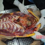 Autopsy of stabbed girl