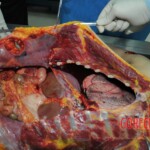 Autopsy of stabbed girl