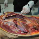 Autopsy of stabbed girl