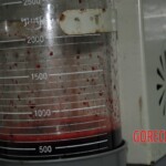 Autopsy of stabbed girl