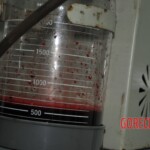 Autopsy of stabbed girl