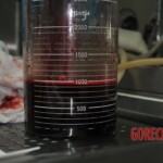 Autopsy of stabbed girl