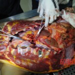 Autopsy of stabbed girl