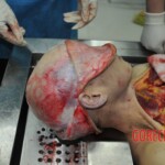 Autopsy of stabbed girl