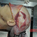Autopsy of stabbed girl