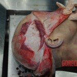 Autopsy of stabbed girl