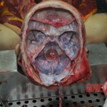 Autopsy of stabbed girl