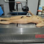 Autopsy of stabbed girl