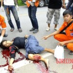 Female died in traffic accident