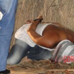 Bianca Batista Gouveia