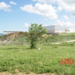 Murdered Brazilian woman in field