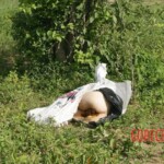 Murdered Brazilian woman in field