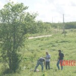 Murdered Brazilian woman in field