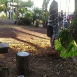 Murdered Thai family