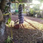 Murdered Thai family