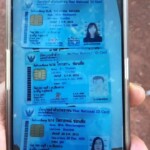 Murdered thai family