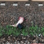 Woman crushed by train