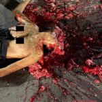 Emanuelly Silva e Silva