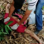 Hedel Contreras Rosario