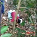 Hedel Contreras Rosario