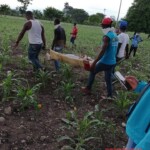 Hedel Contreras Rosario