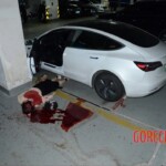 Murdered Chinese woman