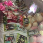 Sunshine Mallari Capinpin