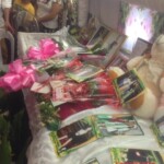 Sunshine Mallari Capinpin