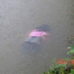 Drowned girl
