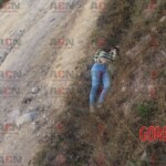 Diana Paulina Rendón Alcaraz