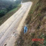 Diana Paulina Rendón Alcaraz