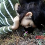 Diana Paulina Rendón Alcaraz