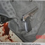 Murder of Reeva Steenkamp