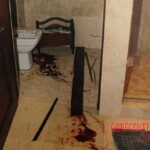 Murder of Reeva Steenkamp