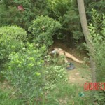 Raped Chinese female