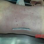 Raped Chinese female