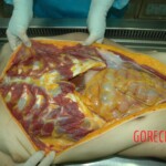 Raped Chinese female